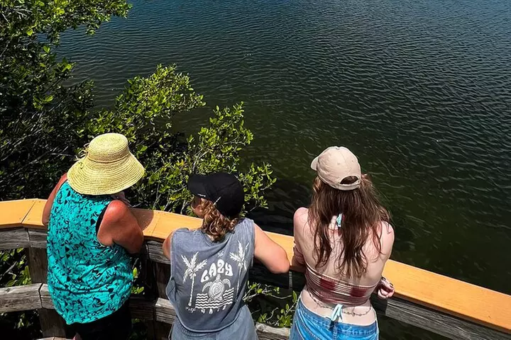 Clear Kayak Ecotour at Robinson Preserve in Bradenton, Florida