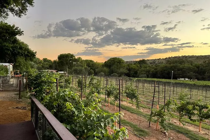 Arizona Winery All-Inclusive Tour with Lunch & Tastings