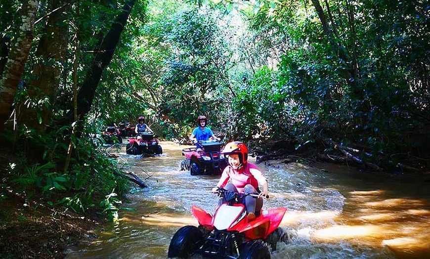 Image 3: 1 Hour Rainforest Quad Bike Tour in Kuranda