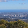 Image 15: Half Day Adelaide City Highlights Mt Lofty & Hahndorf Tour Join Us ...