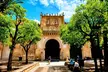 Escapada de un día a la Mezquita de Córdoba, Alcázar, Judería y la Sinagoga desde Sevilla - Second Medium