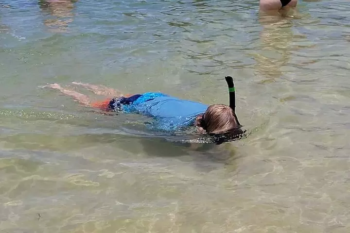 Oahu Circle Island: Snorkel with Turtles & Explore Turtle Beach