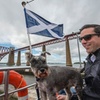 Image 6: Stunning 90-Minute Firth of Forth Sightseeing Cruise Adventure