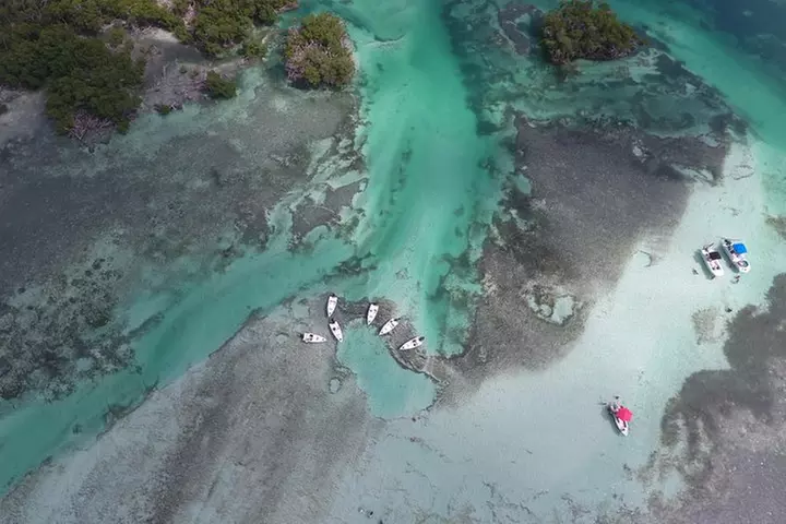 Key West Safari Eco Sandbar Tour Adventure with Snorkeling
