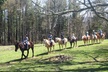 Guided Horseback Ride through Flame Azalea and Fern Forest - Second Medium