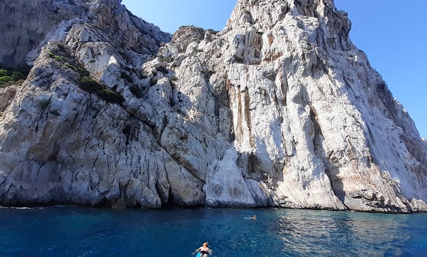 Image 9: Osservazione di Delfini e Snorkeling in Gommone ad Olbia