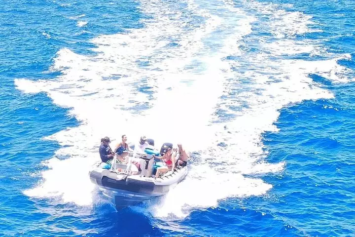 Kona Snorkel Tour: Captain Cook Reef Snorkel, Dolphin & Sea Caves