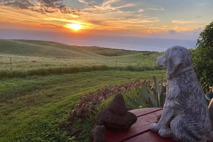 Enjoy Sunset with a Fine Cigar in Hawi