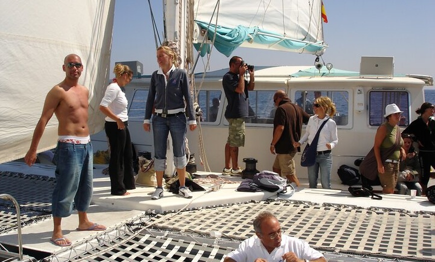Image 28: Excursión desde Ibiza a Playa de Illetas en Catamarán con Comida