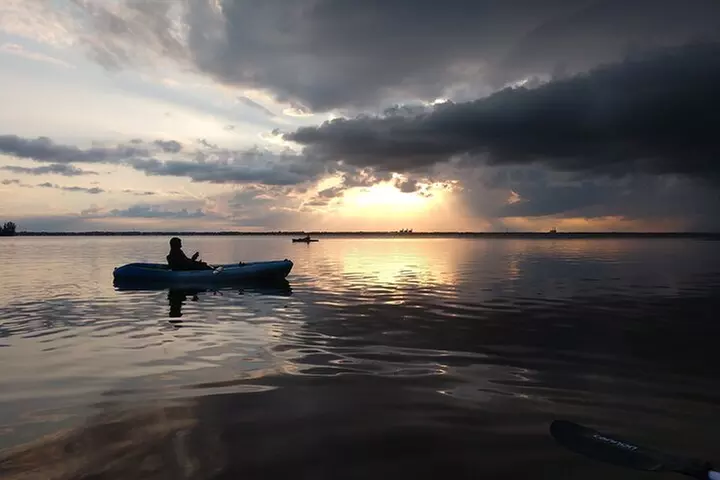Guided Kayak Tour with Manatee & Dolphin Sightings