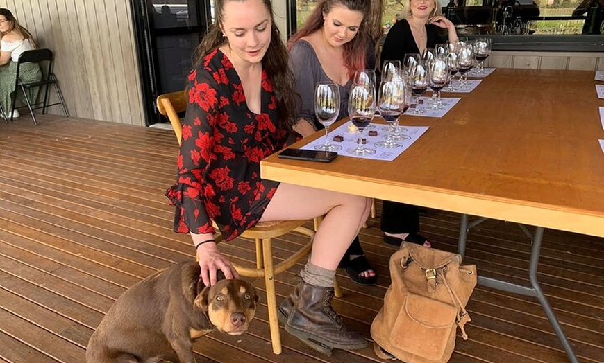 Image 16: Small Group Hunter Valley Wine Tour + Lunch, Gin & Choc ex Sydney