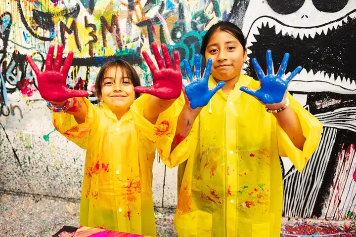 Private Acrylic Painting Class in Chicago