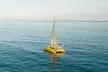 Full Day Sail to Rottnest Island from Fremantle - Image 5