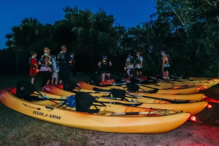 Thousand Islands Bioluminescent Kayak Tour with Cocoa Kayaking!