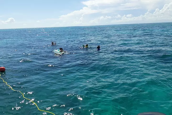 A Unique Private Snorkel Tour of Key Largo