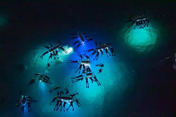 Manta Ray Night Snorkel Adventure - Primary Image