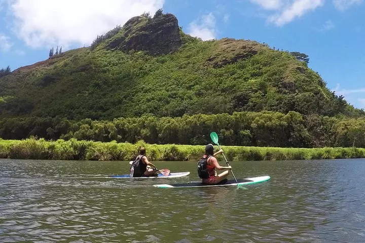 Wailua River & Waterfalls Kayak Tour: Expert-Guided Adventure