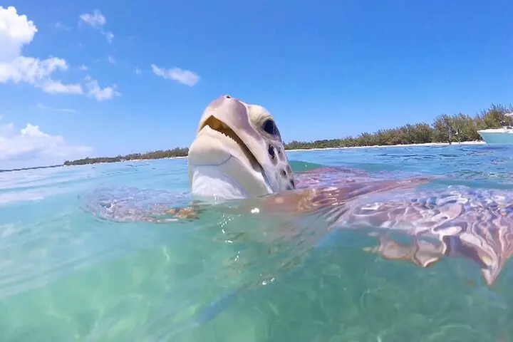 MasterBeast Yacht Charter40 Boat Rental Tours Private Miami