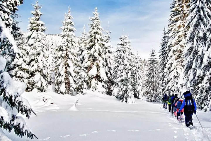 Snowshoe Through Vancouver's Winter Wonderland - Primary Image
