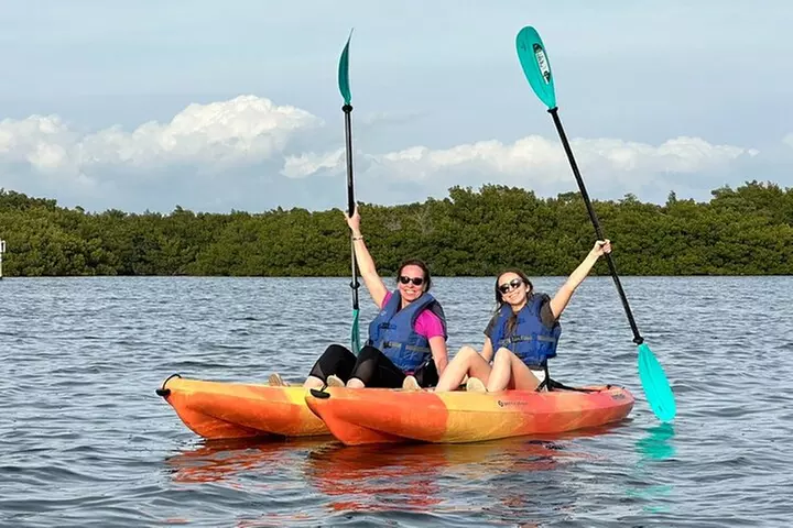 Sunset Kayaking with Dolphins