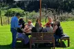 Full Day Guided Wine Tour in Mt Tamborine From Brisbane - Image 3