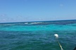 Coral Reef Private Snorkel tour out to John Pennekamp Coral Reef State Park - Second Medium