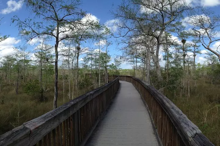 Everglades Day Safari from Ft Lauderdale