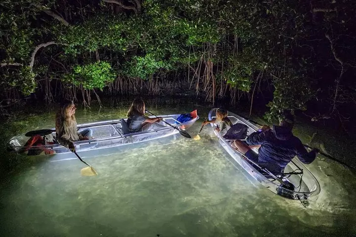 Anna Maria Island - Clear Kayak LED Night Glass Bottom Tour