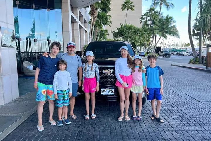 One-Way VIP Transfer: Honolulu Airport, Waikiki, Cruise Port