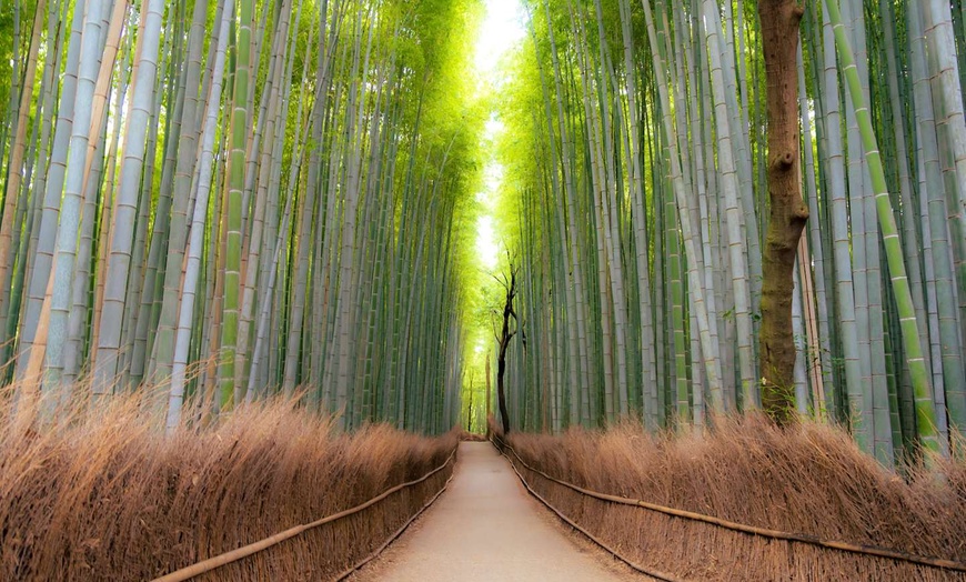 Image 13: ✈ CORÉE DU SUD | De Séoul à Tokyo - Duo d'Asie : De Séoul à Tokyo -...