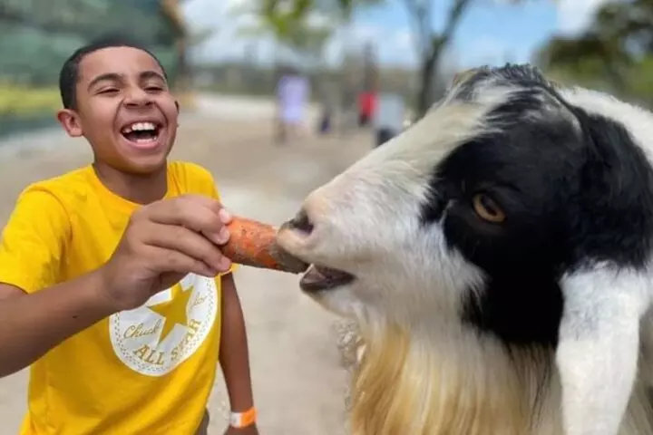 Family Adventure at the Farm and Animal Feed - Primary Image