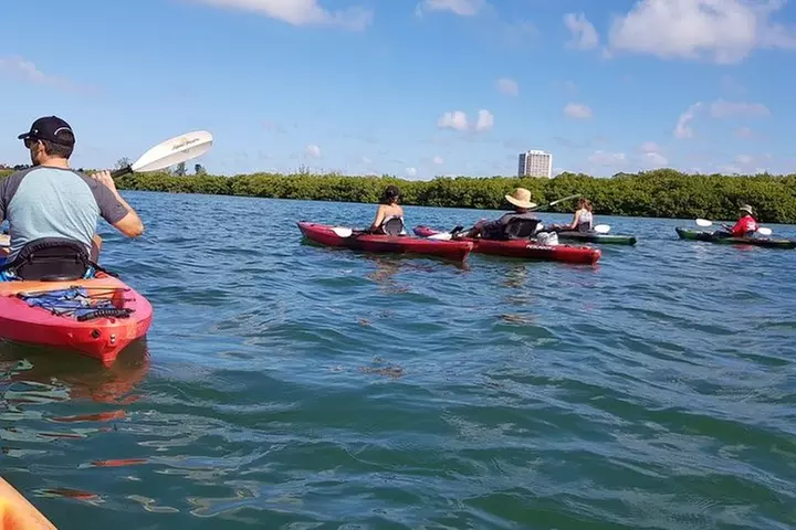 Sarasota Guided Mangrove Tunnel Kayak Tour
