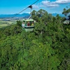 Image 25: Small Group Kuranda Tour via Kuranda Scenic Rail and Skyrail