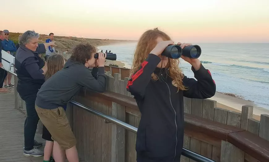 Image 3: Warrnambool Wanderer Tour