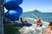 From Sydney: Port Stephens Dolphin, Koalas, Lunch & Sandboarding - Image 4