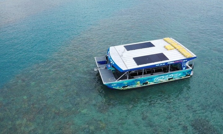 Image 3: Airlie Beach Glass Bottom Boat Tour