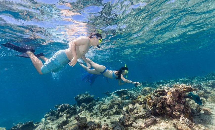 Image 12: Great Barrier Reef Snorkeling and Diving Cruise from Cairns