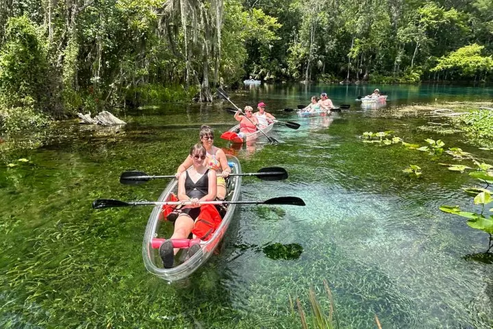 Clear Kayak or Paddleboard Manatee Adventure