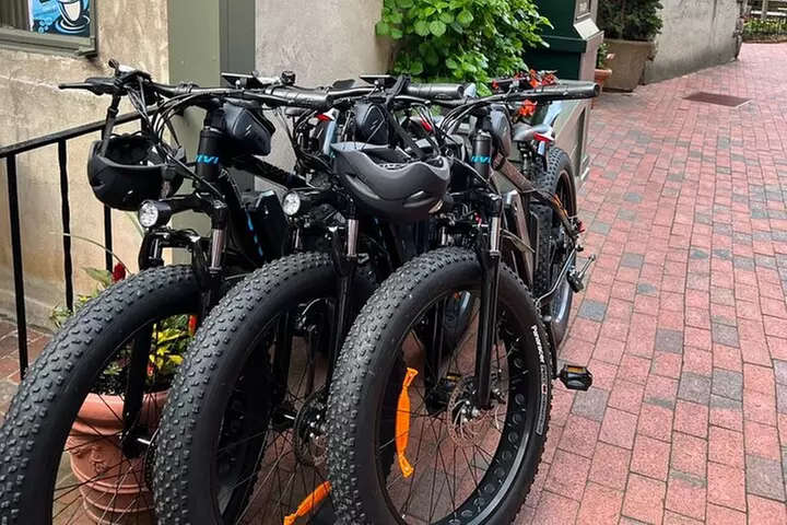 Electric Bike 26''x 4.0 - Primary Image