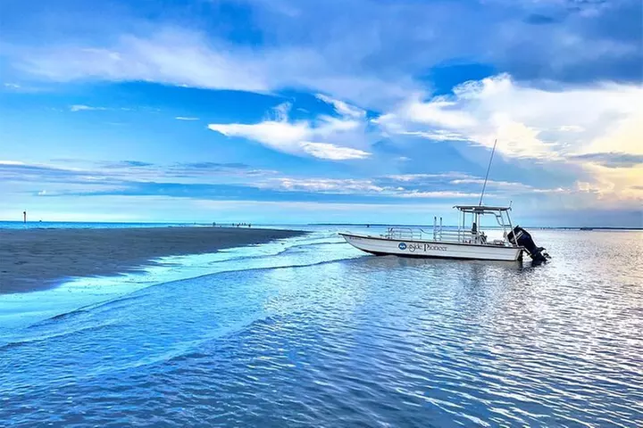 5 Hour Ultimate Lowcountry Day: Up To 6 Guests