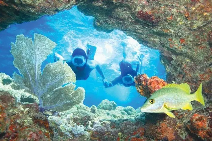 Key West Rum and Reggae: Reef Snorkel Adventure and Sunset Sail