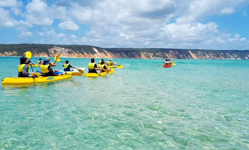 Image 5: Epic Rainbow Beach Dolphin Kayak and 4WD Adventure Tour