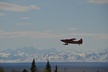 Denali Grand Flightseeing Tour from Talkeetna - Second Medium