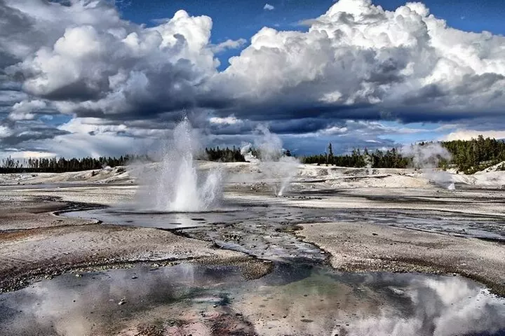 Yellowstone Lower Loop VIP Full-Day Private Tour with Lunch - Primary Image