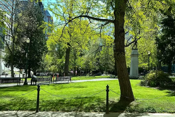 Portland City Tour: Views and News (Our Best Selling Tour!)