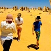 Image 3: 4WD Pinnacles Desert Turquoise Coast and Sand Boarding Adventure