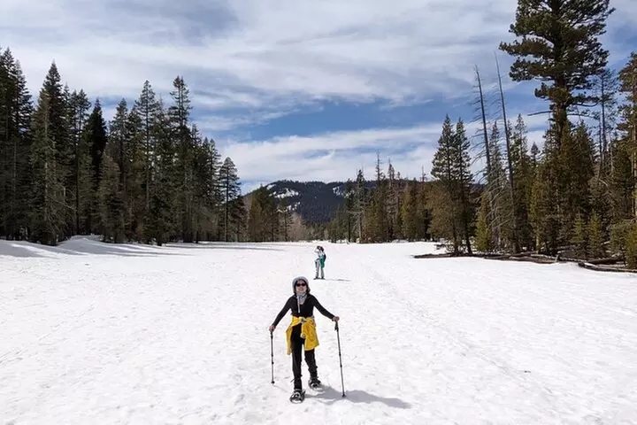 Chickadee Ridge Beginner Snowshoe Activity