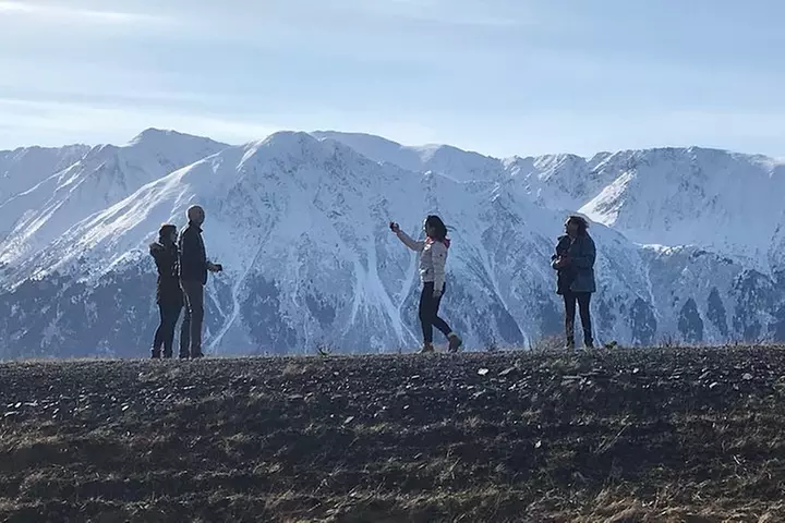 Winter - Wildlife & Turnagain Arm Tour