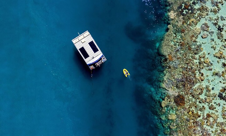 Image 5: Airlie Beach Glass Bottom Boat Tour