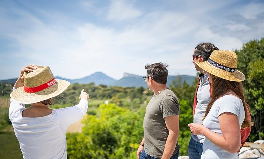 Image 1: Visite d'une demi-journée en petit groupe, vins du Languedoc, Pic S...